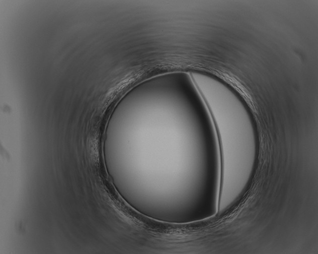 X0000091100489200708061026