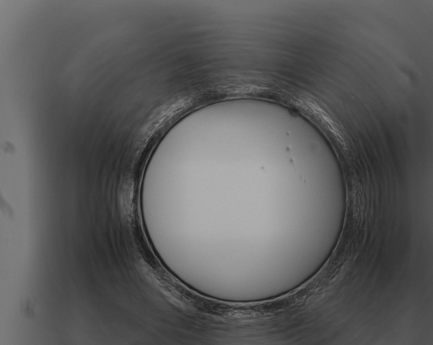 X0000091100490200708061026