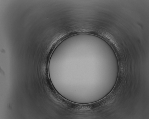 X0000091100491200708061026