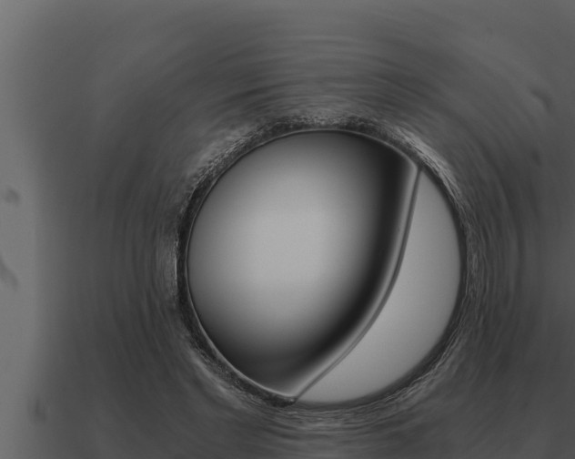X0000091100493200708061026