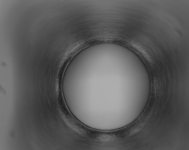 X0000091100494200708061026