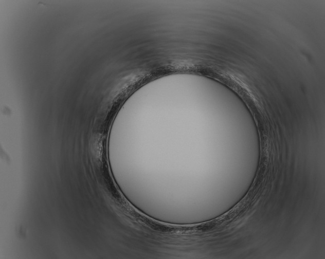 X0000091100495200708061025