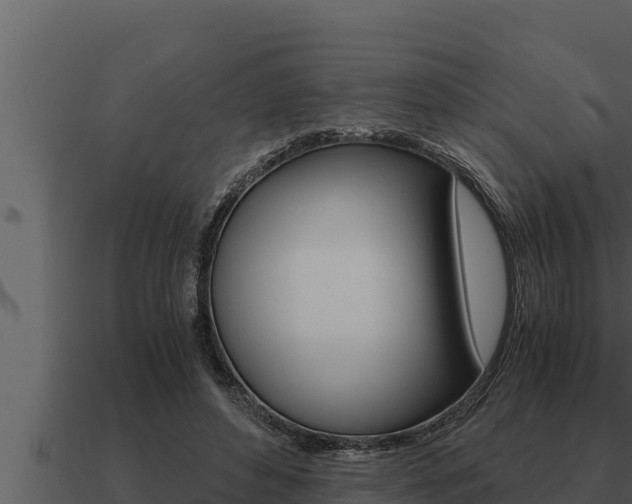 X0000091100496200708061025
