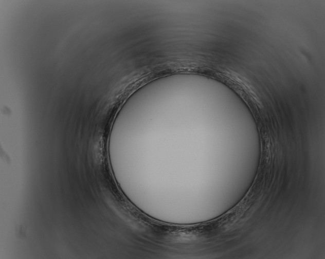 X0000091100498200708061025