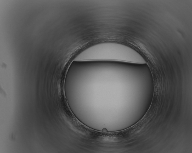 X0000091100500200708061025