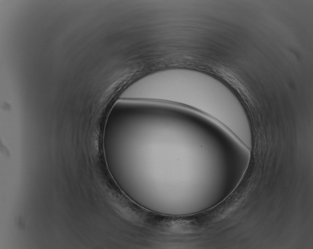 X0000091100501200708061025