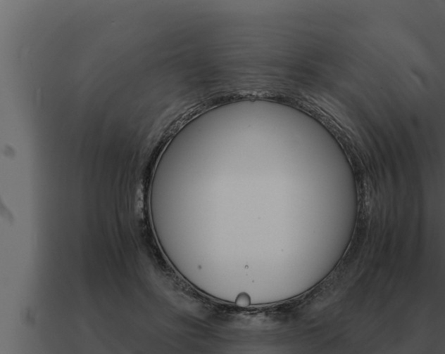 X0000091100502200708061025