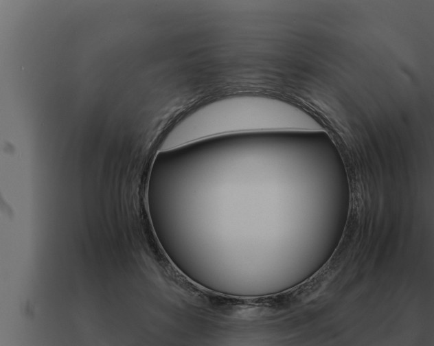 X0000091100504200708061025