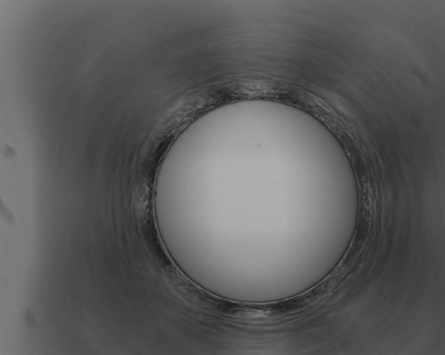 X0000091100507200708061025