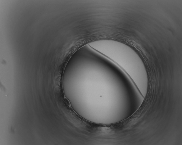 X0000091100509200708061025