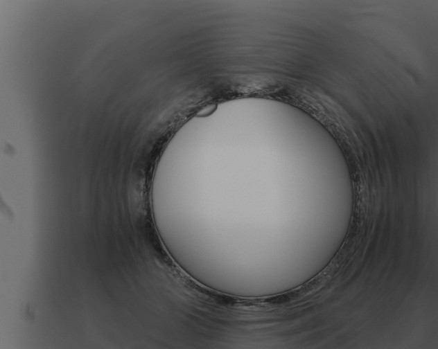 X0000091100510200708061025