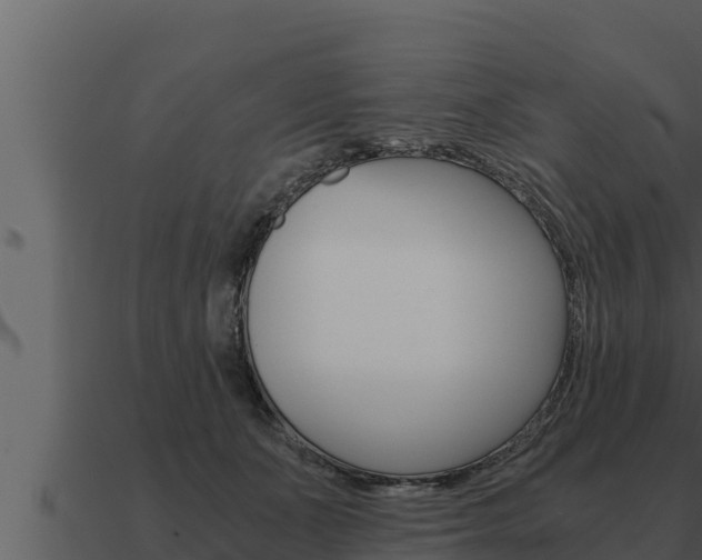 X0000091100511200708061025