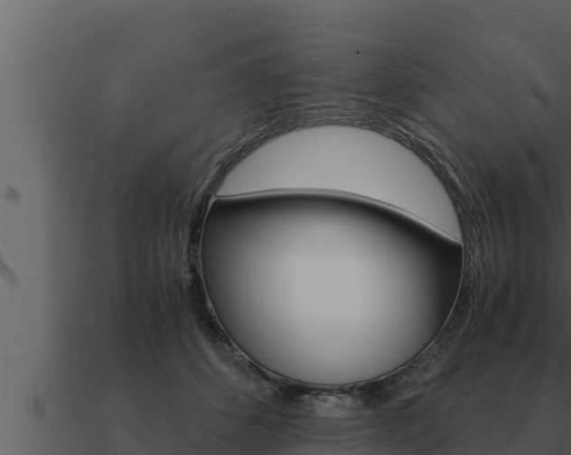 X0000091100512200708061025