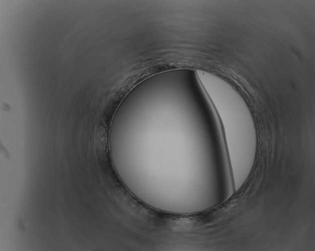 X0000091100513200708061025