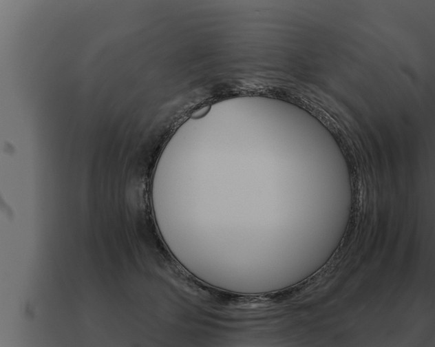 X0000091100514200708061025