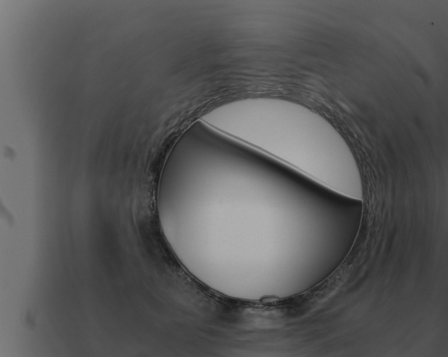 X0000091100515200708061025