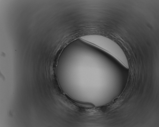 X0000091100516200708061025