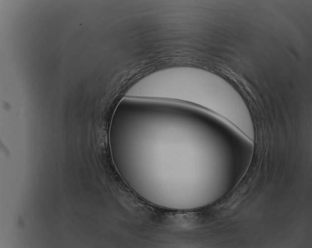 X0000091100517200708061025