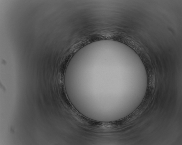 X0000091100518200708061025