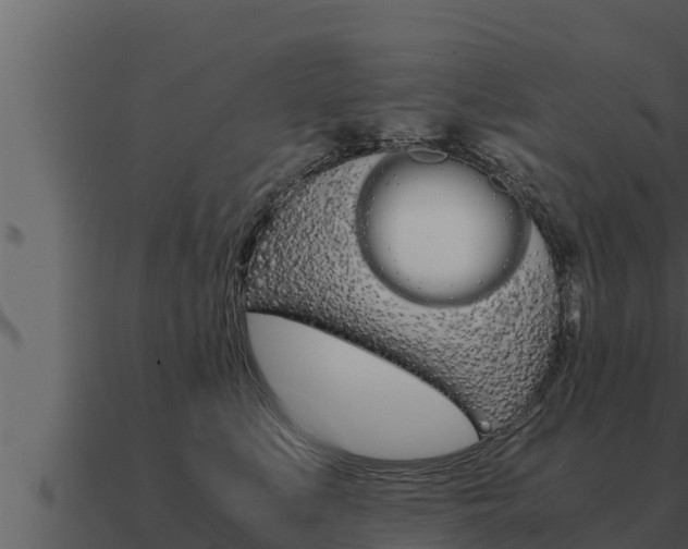 X0000091100519200708061025