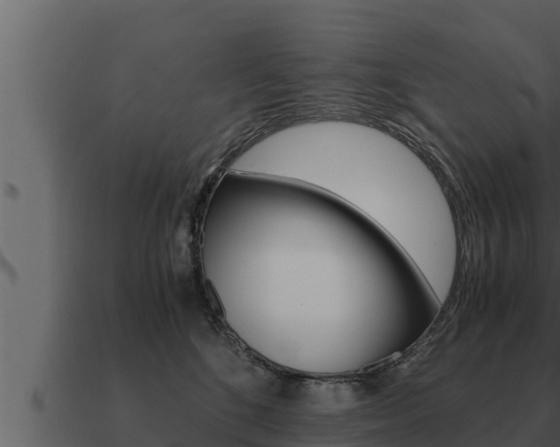 X0000091100520200708061025