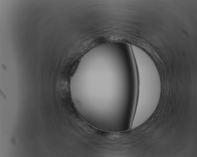 X0000091100521200708061025