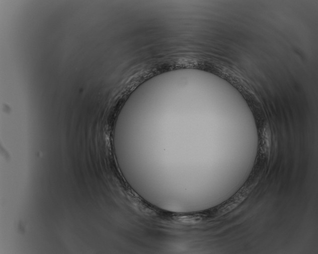 X0000091100522200708061025
