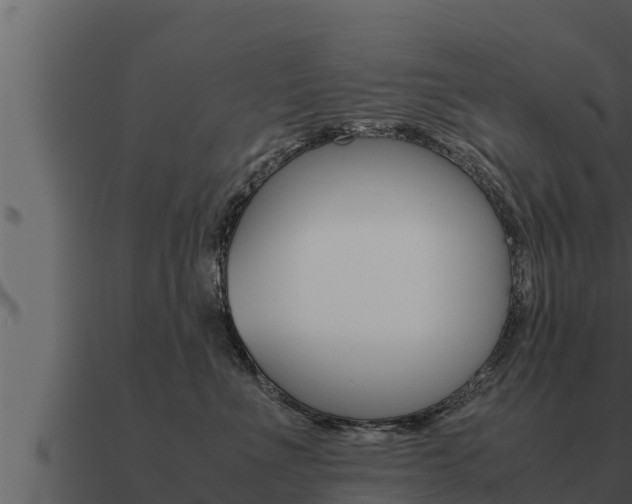 X0000091100523200708061025