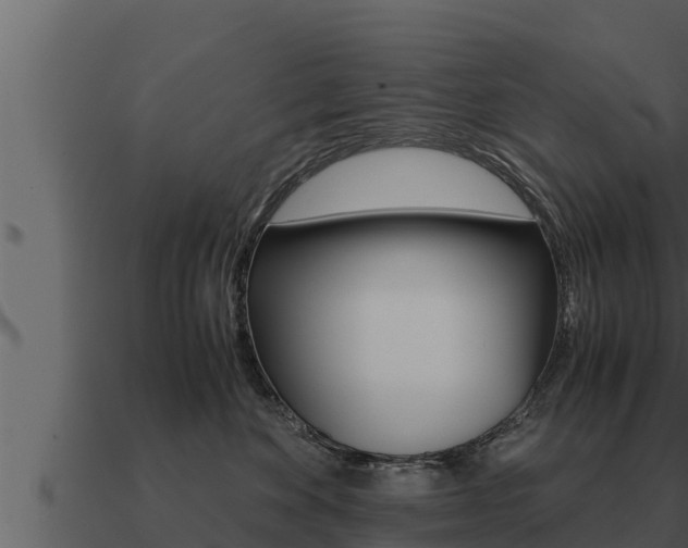 X0000091100524200708061025