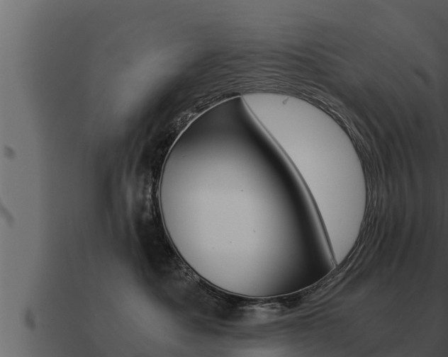 X0000091100525200708061025