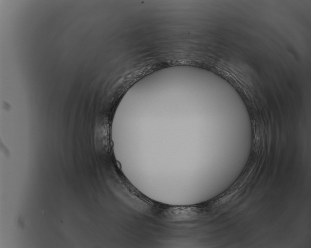 X0000091100526200708061025