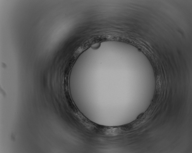 X0000091100527200708061025