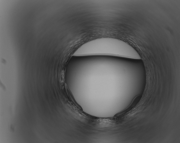 X0000091100528200708061025