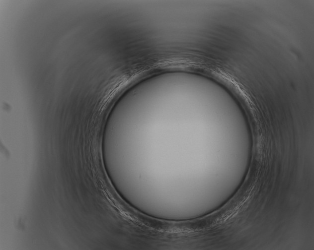 X0000091100529200708061024