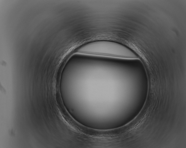 X0000091100530200708061024