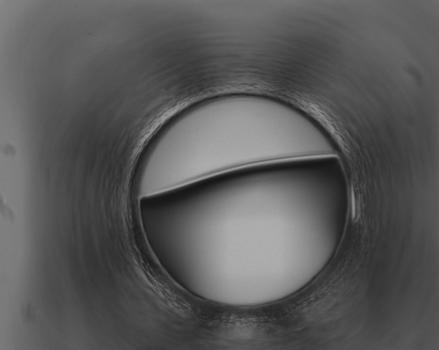 X0000091100531200708061024