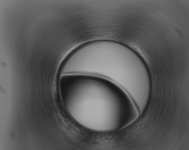 X0000091100532200708061024