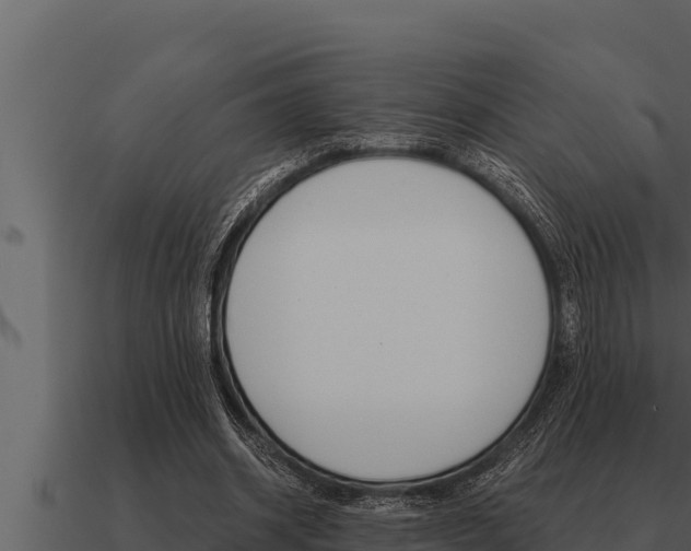 X0000091100534200708061025