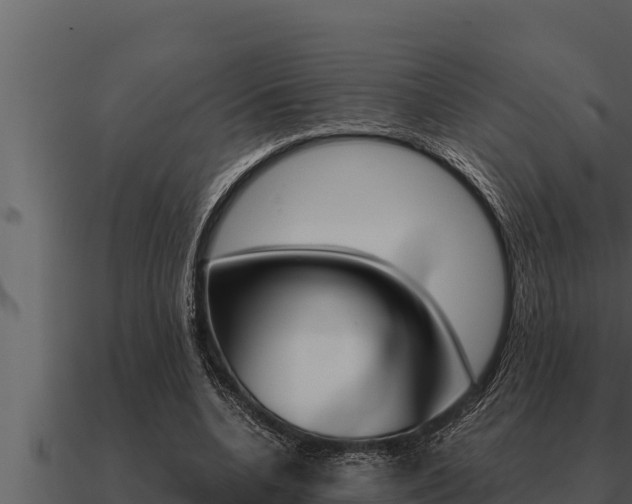 X0000091100536200708061025