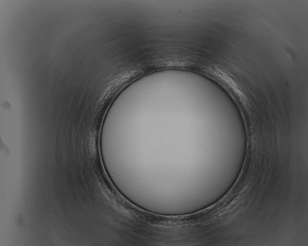 X0000091100537200708061025