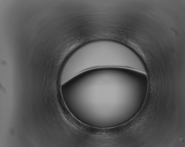 X0000091100538200708061025
