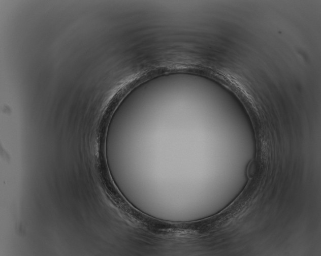 X0000091100539200708061025
