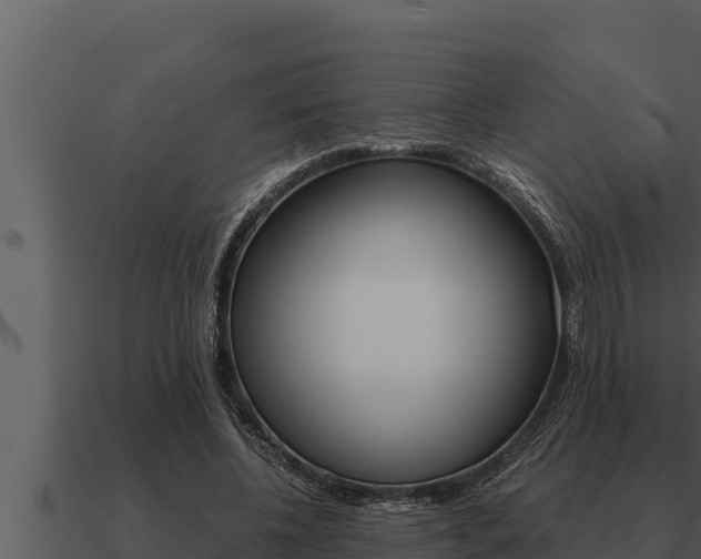 X0000091100540200708061025