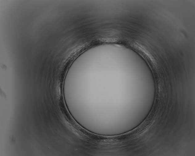 X0000091100541200708061025