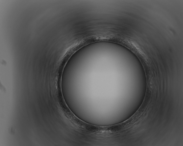 X0000091100543200708061025