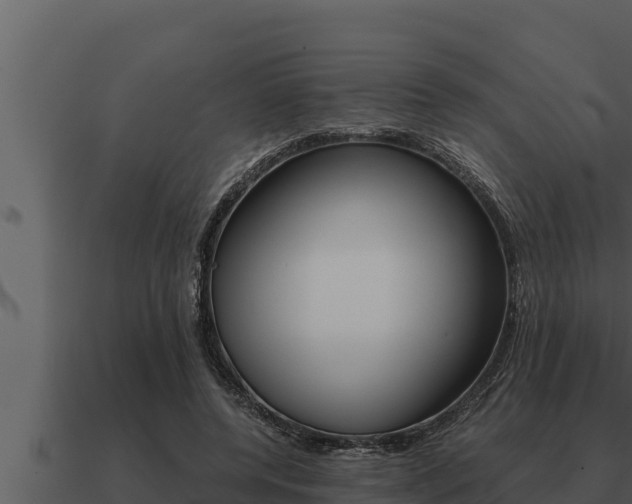 X0000091100544200708061025