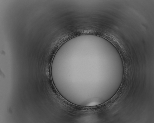 X0000091100545200708061025