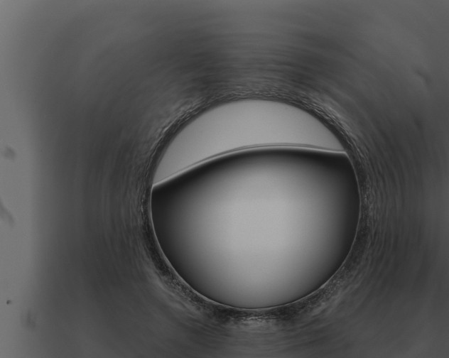 X0000091100546200708061025