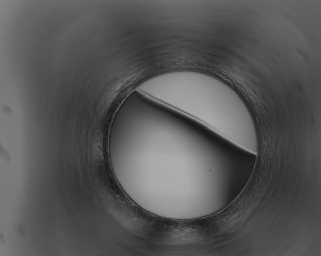 X0000091100547200708061025