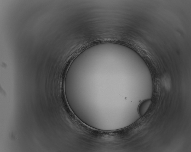 X0000091100550200708061025